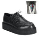 Black Leather